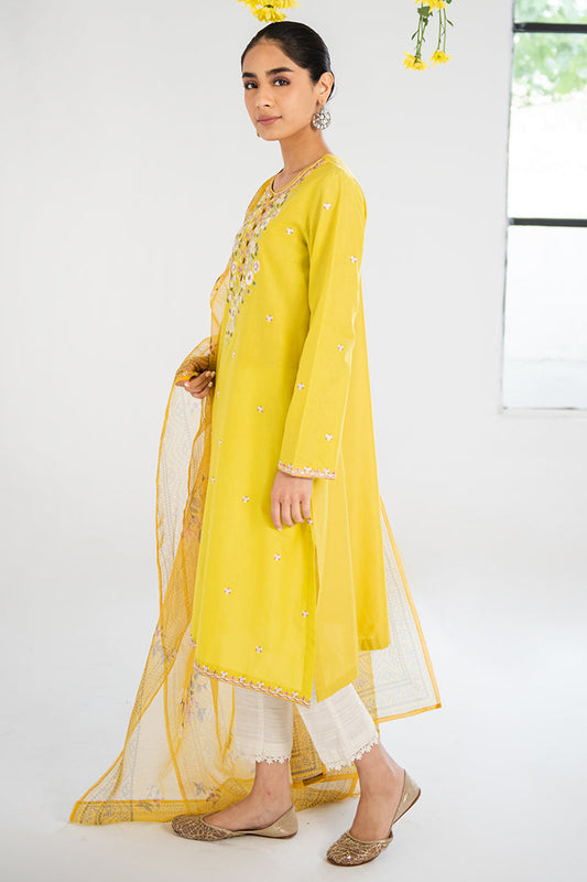 AMBER GLOW-2PC(SHIRT & DUPATTA)